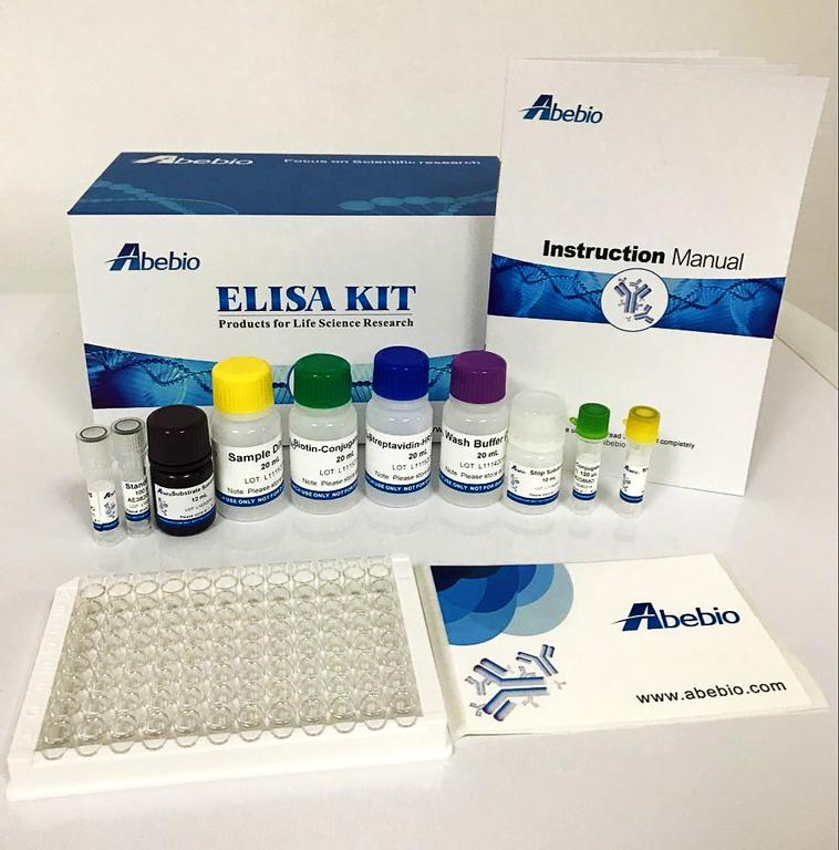 Human Carbohydrate antigen 199 (CA199) ELISA Kit