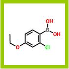 2-氯-4-乙氧基苯硼酸,2-CHLORO-4-ETHOXYPHENYLBORONIC ACID