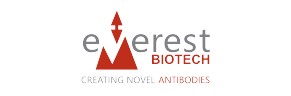 Everest Biotech