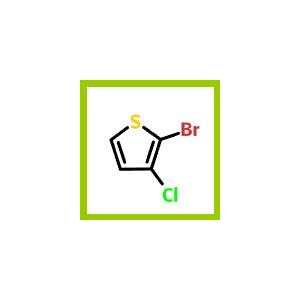 2-溴-3-氯噻吩,2-Bromo-3-chlorothiophene
