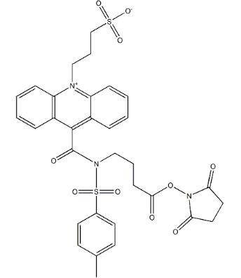 吖啶酯（NSP-SA-NHS）,NSP-SA-NHS