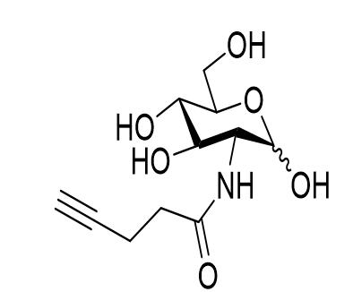 2-(4-戊炔酰氨基)-2-脱氧-D-吡喃葡萄糖，2-(4-pentynoylamino)-2-deoxy-D-glucopyranose,2-(4-pentynoylamino)-2-deoxy-D-glucopyranose