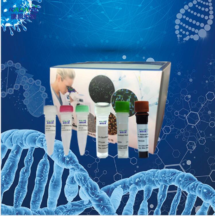 嗜吞噬细胞无浆体(无形体)PCR试剂盒,Anaplasma phagocytophilum