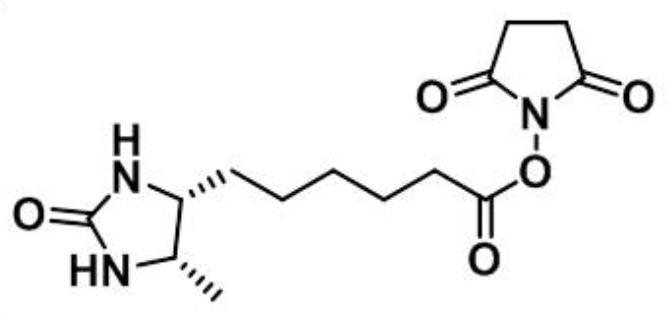 脱硫生物素-琥珀酰亚胺酯,Desthiobiotin NHS Ester,Desthiobiotin NHS Ester,N-Hydroxysuccinimido dethiobiotinate