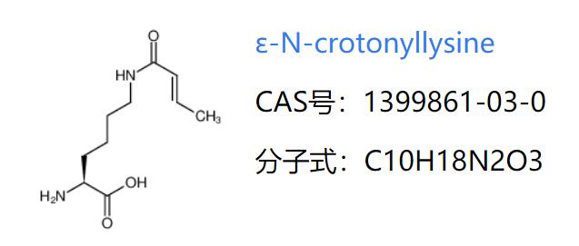 ε-N-巴豆酰基赖氨酸，ε-N-Crotonyllysine,ε-N-Crotonyllysine