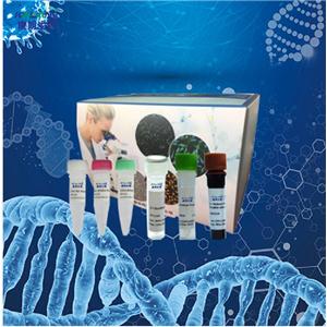 平尾毛细线虫PCR试剂盒