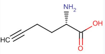 (S)-2-氨基-5-己炔酸,L-Homopropargylglycine (HPG),L-Homopropargylglycine (HPG)