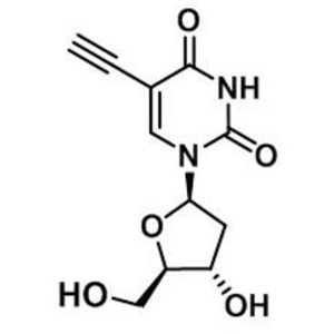 5-乙炔基-2-脱氧尿苷，5-Ethynyl-2-deoxyuridine (EdU)