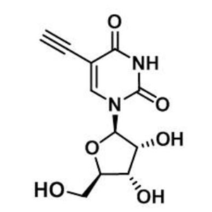 5-ETHYNYL URIDINE; 1-((2R,3R,4S,5R)-3,4-dihydroxy-5-(hydroxymethyl)tetrahydrofuran-2-yl)-5-ethynylpy,5-ETHYNYL URIDINE; 1-((2R,3R,4S,5R)-3,4-dihydroxy-5-(hydroxymethyl)tetrahydrofuran-2-yl)-5-ethynylpyrimidine-2,4(1H,3H)-dione;