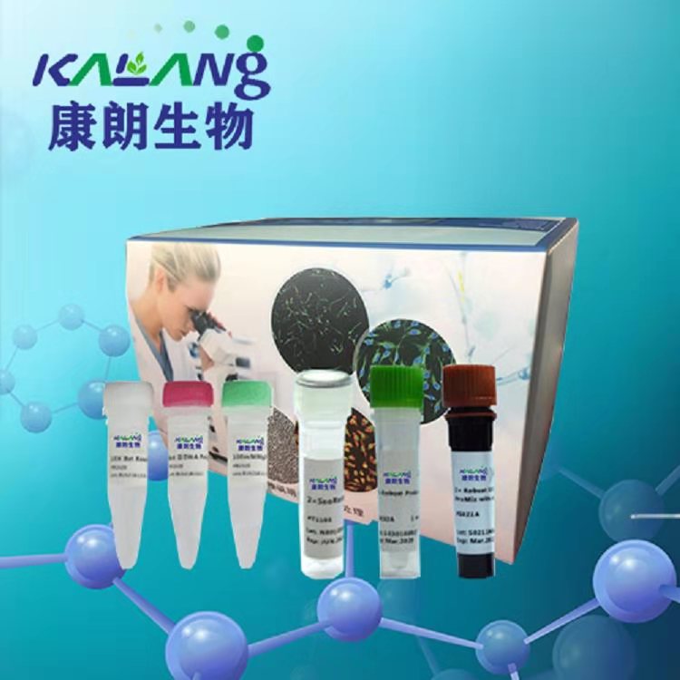 肠粘附性大肠杆菌PCR试剂盒,Enteroadhesive E.Coli(EAEC)