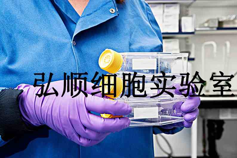 SW620 Cells|人結(jié)腸癌貼壁細(xì)胞,SW620 Cells