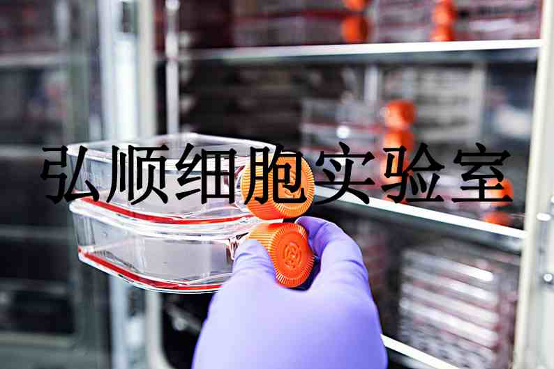 NCI-H460 Cells|人大细胞肺癌贴壁细胞,NCI-H460 Cells