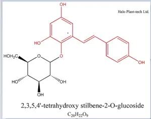 四羟基二苯乙烯苷葡萄糖苷,2,3,5,4'-Tetrahydroxystilbene 2-O-glucosidet