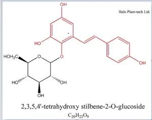 四羥基二苯乙烯苷葡萄糖苷,2,3,5,4'-Tetrahydroxystilbene 2-O-glucosidet