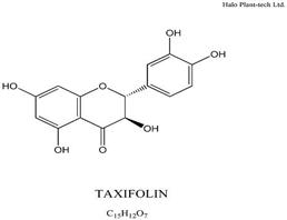 二氢槲皮素,Taxifolin