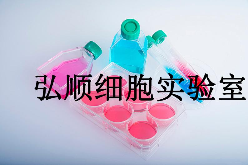 HCC1395 Cells|人乳腺导管癌贴壁细胞,HCC1395 Cells