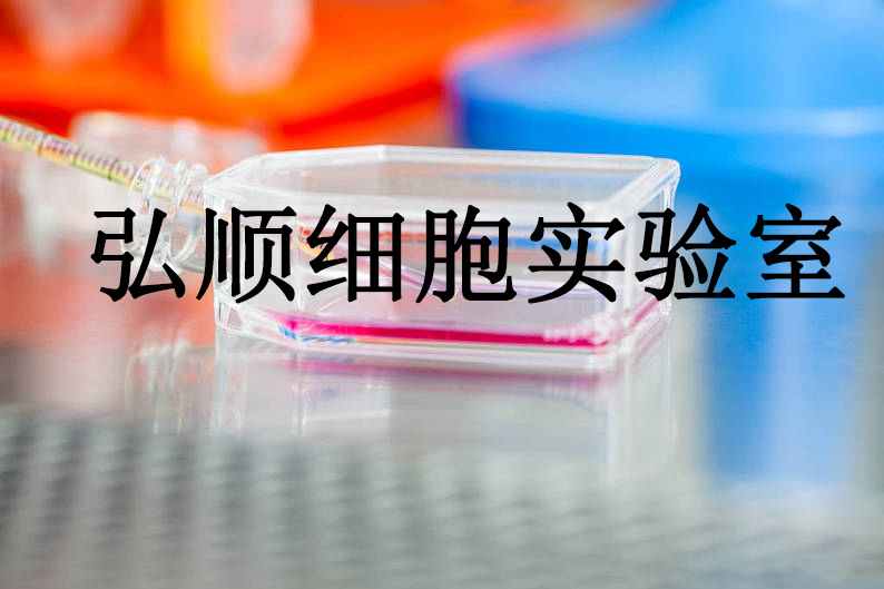 ACHN Cells|人肾细胞腺癌贴壁细胞,ACHN Cells