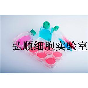 MFE-296 Cells|子宫内膜癌贴壁细胞,MFE-296 Cells