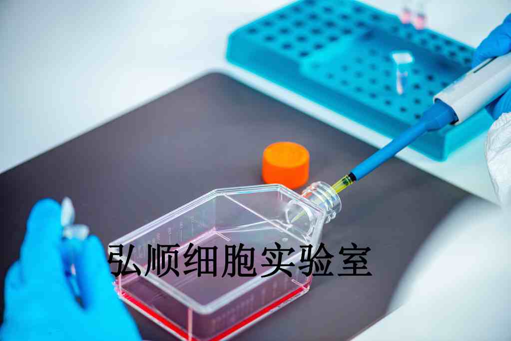 COV362 Cells|人卵巢癌贴壁细胞,COV362 Cells