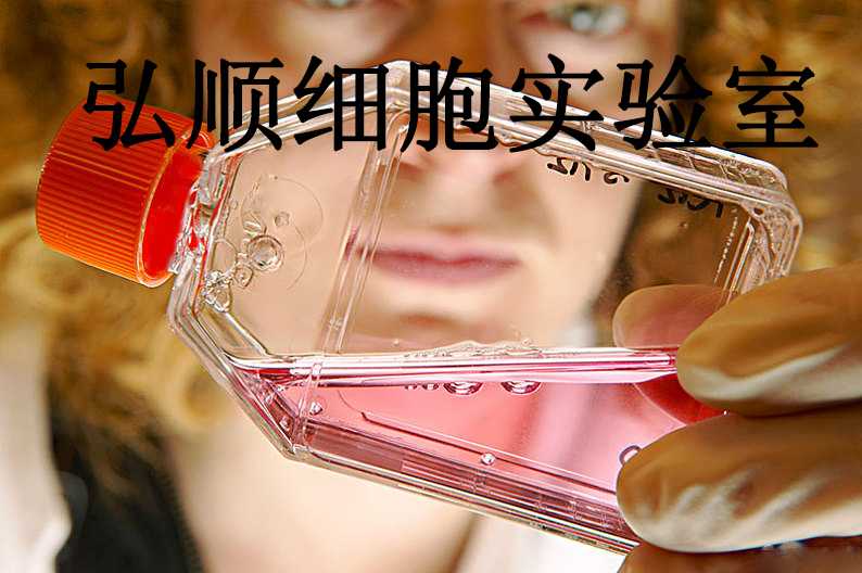 SU.86.86 Cells|人胰腺導(dǎo)管癌貼壁細(xì)胞,SU.86.86 Cells