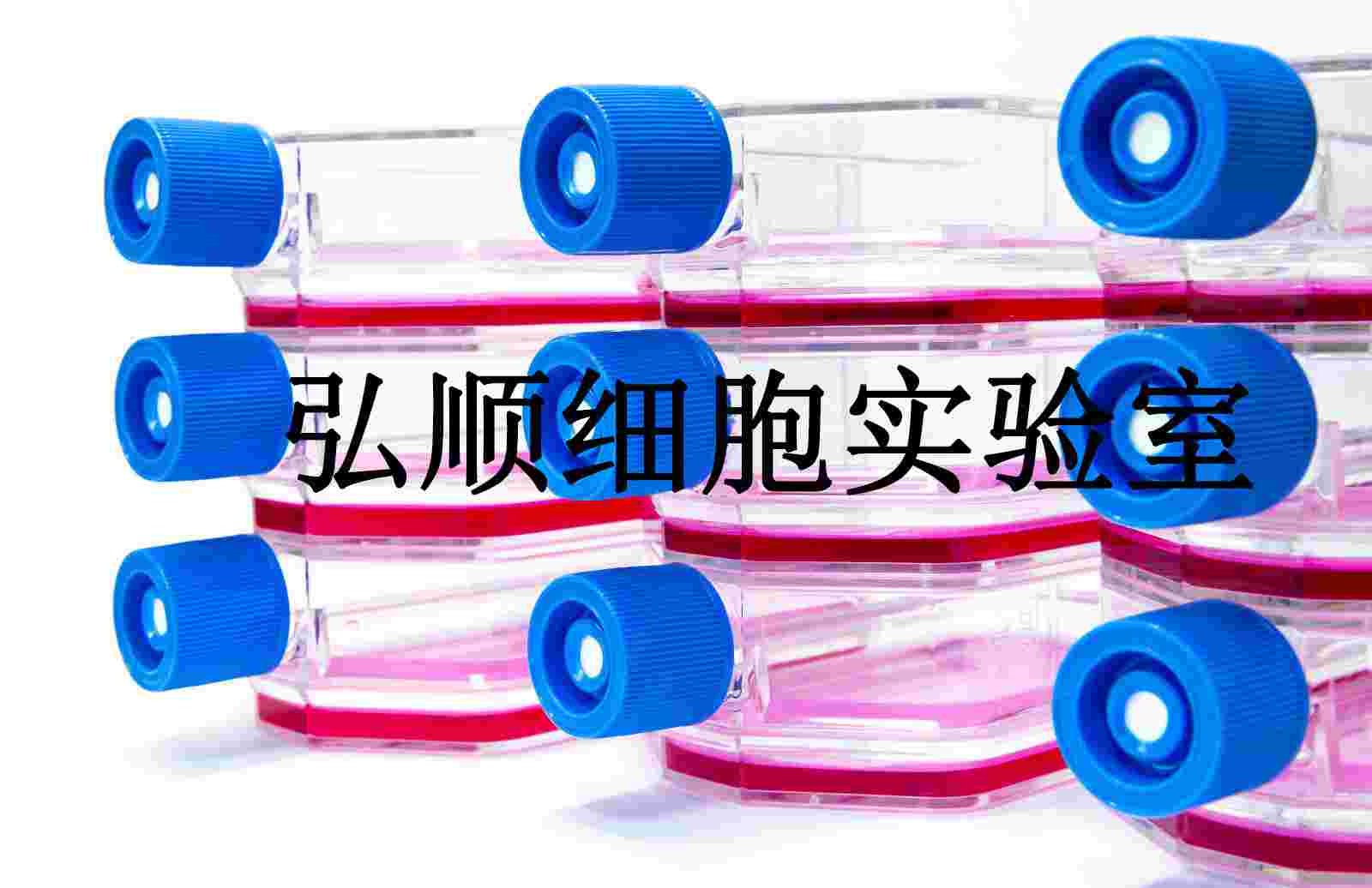 SK-MEL-2 Cells|人恶性黑色素瘤贴壁细胞,SK-MEL-2 Cells