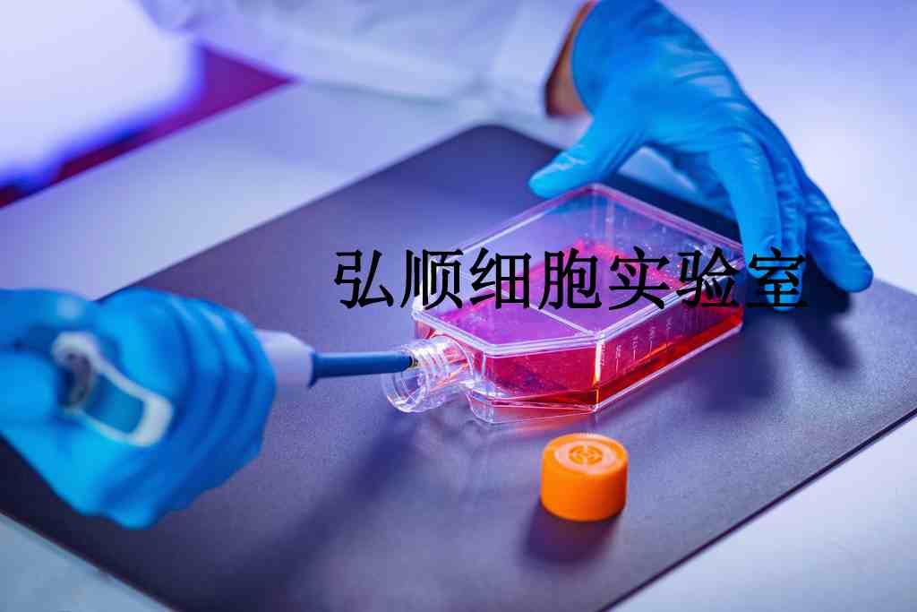 BpRc1 Cells|小鼠肝癌贴壁细胞,BpRc1 Cells