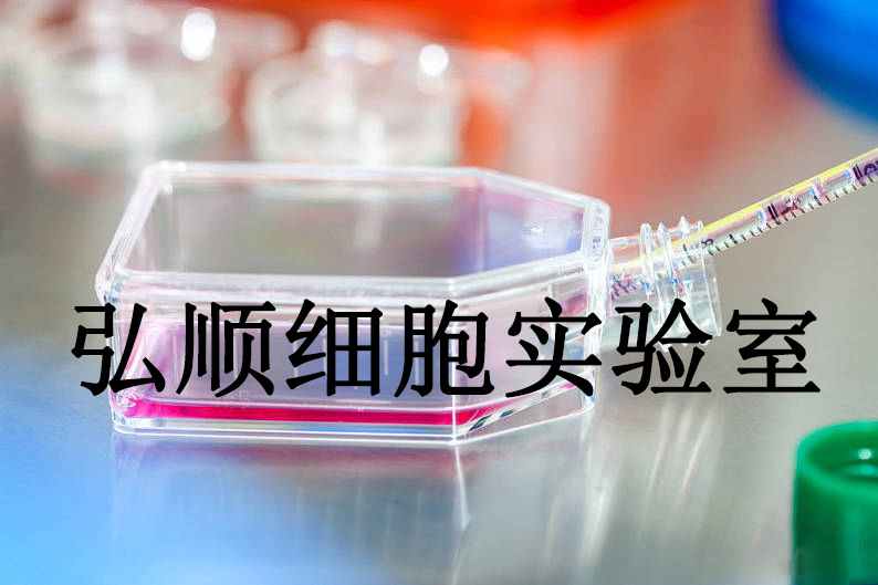 NCI-H157 Cells|人非小细胞肺腺癌贴壁细胞,NCI-H157 Cells