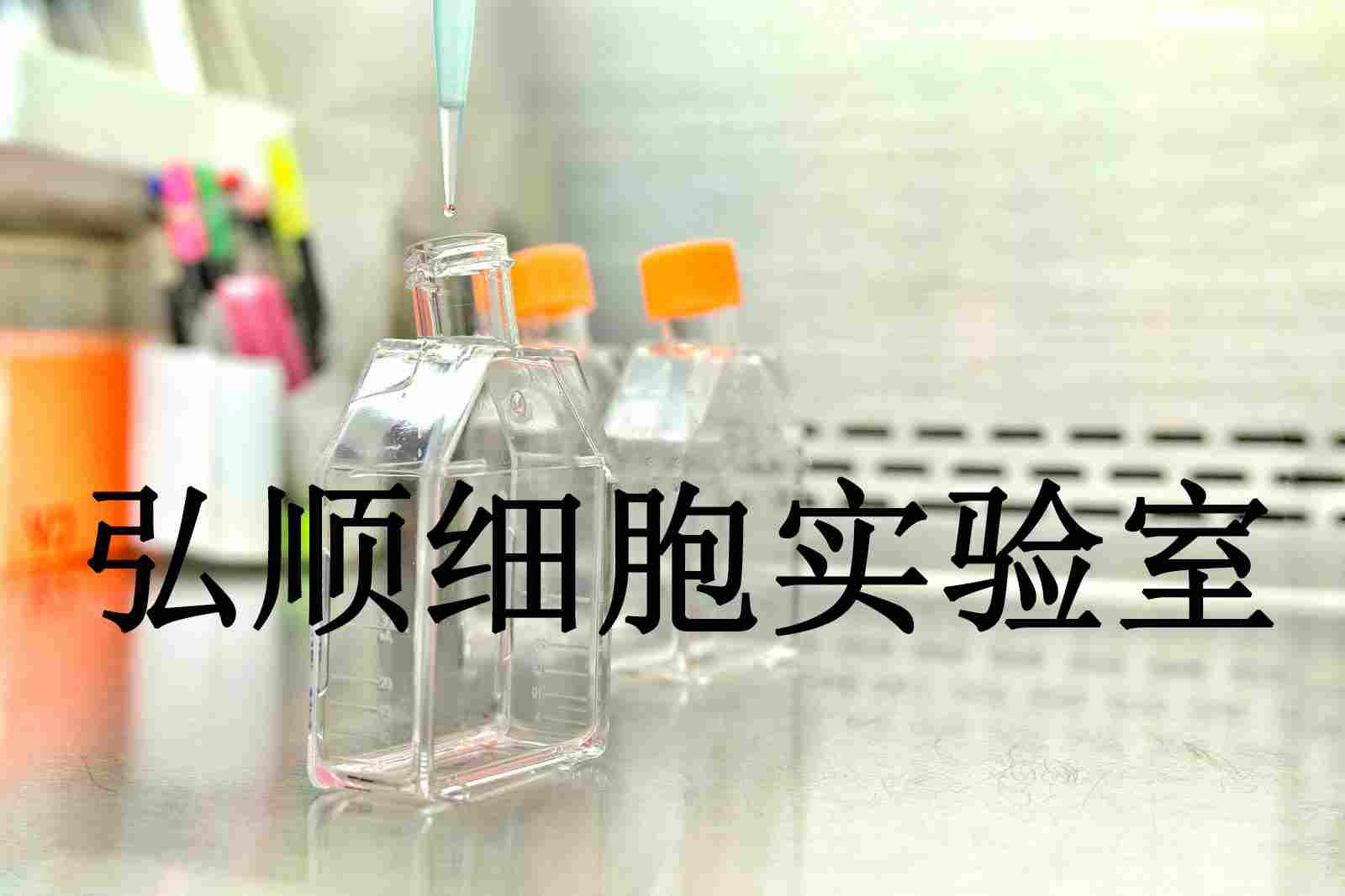 FHC Cells|人正常結(jié)直腸粘膜貼壁細(xì)胞,FHC Cells