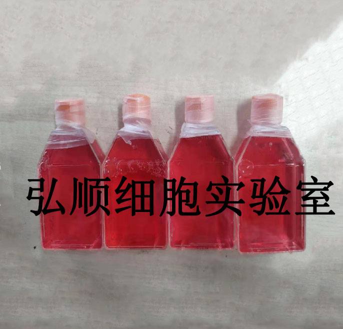 SBC-3 Cells|人小细胞肺癌贴壁细胞,SBC-3 Cells