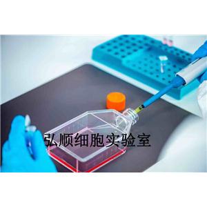 PG13 Cells|逆转录病毒包被的TK-NIH3T3贴壁细胞