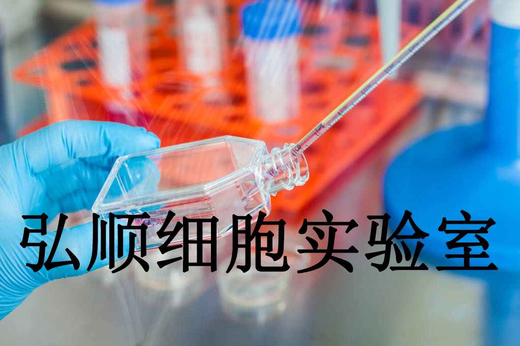 CHO-S Cells|中国仓鼠卵巢贴壁细胞,CHO-S Cell