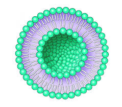 紫檀芪纳米脂质体制剂,NanoLiposomal Pterostilbene