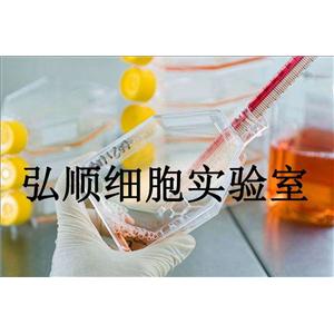 HEC-151 Cells|人子宫内膜癌贴壁细胞,HEC-151 Cells