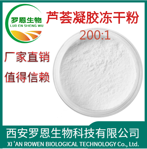 芦荟凝胶冻干粉200:1,Aloe Vera Gel Freeze Dried Powder 200:1