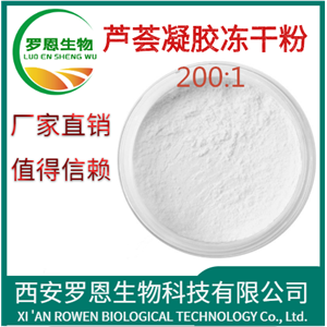芦荟凝胶冻干粉200:1,Aloe Vera Gel Freeze Dried Powder 200:1