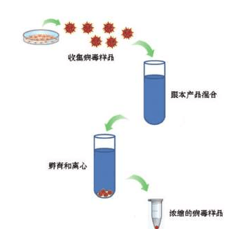 病毒沉淀剂,Virus Precipitation Reagent