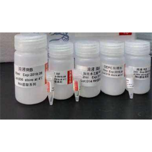 非冻型尿液DNA保存液,Urine DNALOCKER