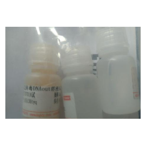 Nase清除剂B型（原液相RNase清除剂）