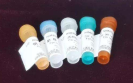 TdT加尾法DNA探针地高辛标记试剂盒,TdT-Tailing DNA Probe Labeling Kit