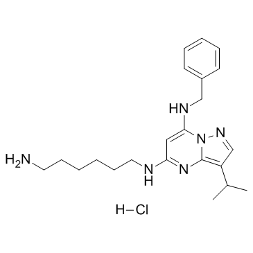BS-181 hydrochlorid