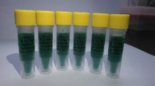 T3体外转录试剂盒,T3 in vitro Transcription Kit
