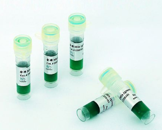 2X 探针法qPCR Mix （TaqMan探针法荧光定量PCR试剂盒）,2×Probe qPCR Mi