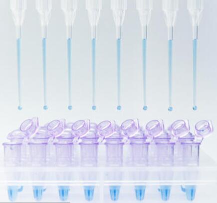 cDNA第二链合成试剂盒,Second Strand cDNA Synthesis Kit