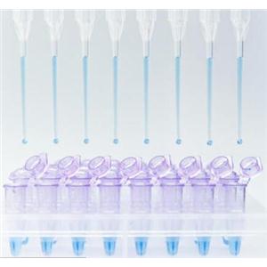 免RNA提取RT-PCR试剂盒,Cell Lysate RT-PCR Kit