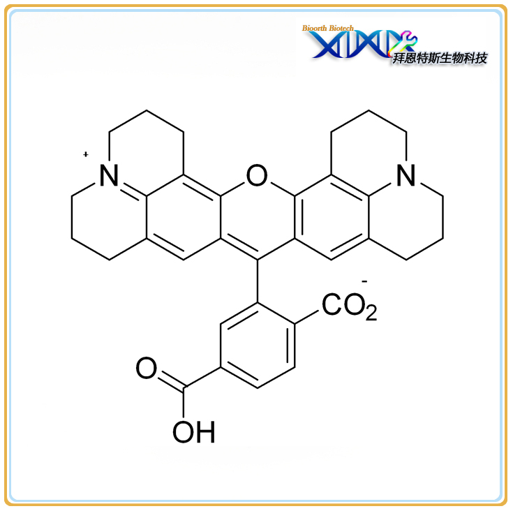 6-羧基-X-罗丹明,6-Carboxy-X-rhodamine;6-ROX