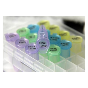 酵母化学感受态细胞制备试剂盒