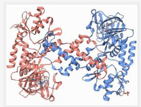 超敏型BCA法蛋白定量试剂盒,Ultrasensitive BCA Protein Assay Kit