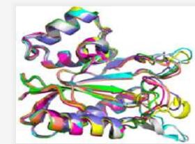 糖蛋白染色试剂盒(PAGE胶专用）,Staining Kit for Glycoprotein