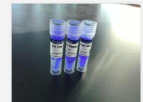 MMLV逆转录酶，200U/uL,MMLV (RNase H-)Reverse Transcriptase