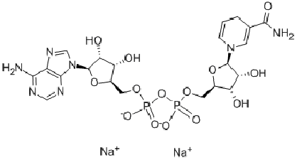 β-烟酰胺腺嘌呤二核苷二钠,Nicotinamide Adenine Dinucleotide, Reduced Form